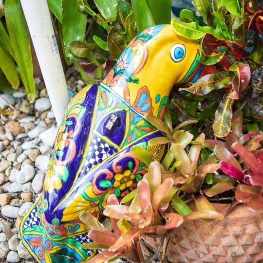 Pineapple Point Guest House & Resort Gallery