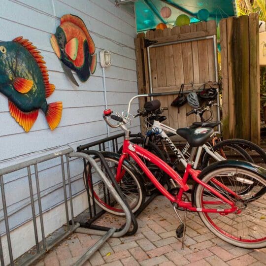 Pineapple Point Guest House & Resort Gallery