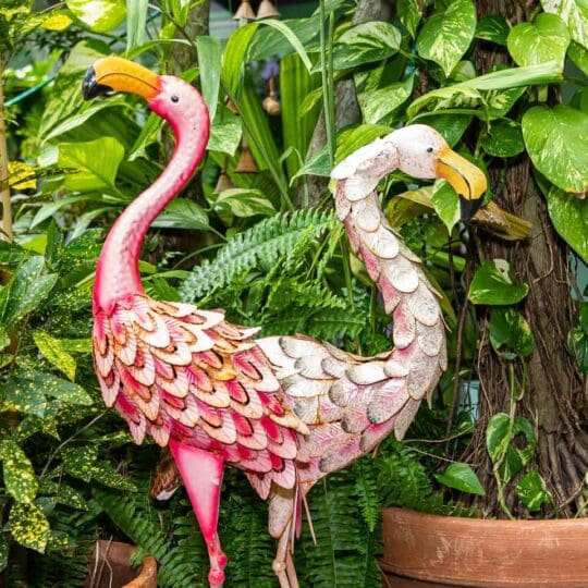 Pineapple Point Guest House & Resort Gallery